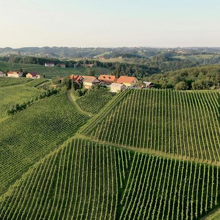 Wine & Tourism Bracko Bed & Breakfast Spodnji Jakobski Dol Luaran gambar