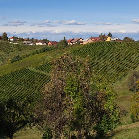 Wine & Tourism Bracko Bed & Breakfast Spodnji Jakobski Dol Luaran gambar