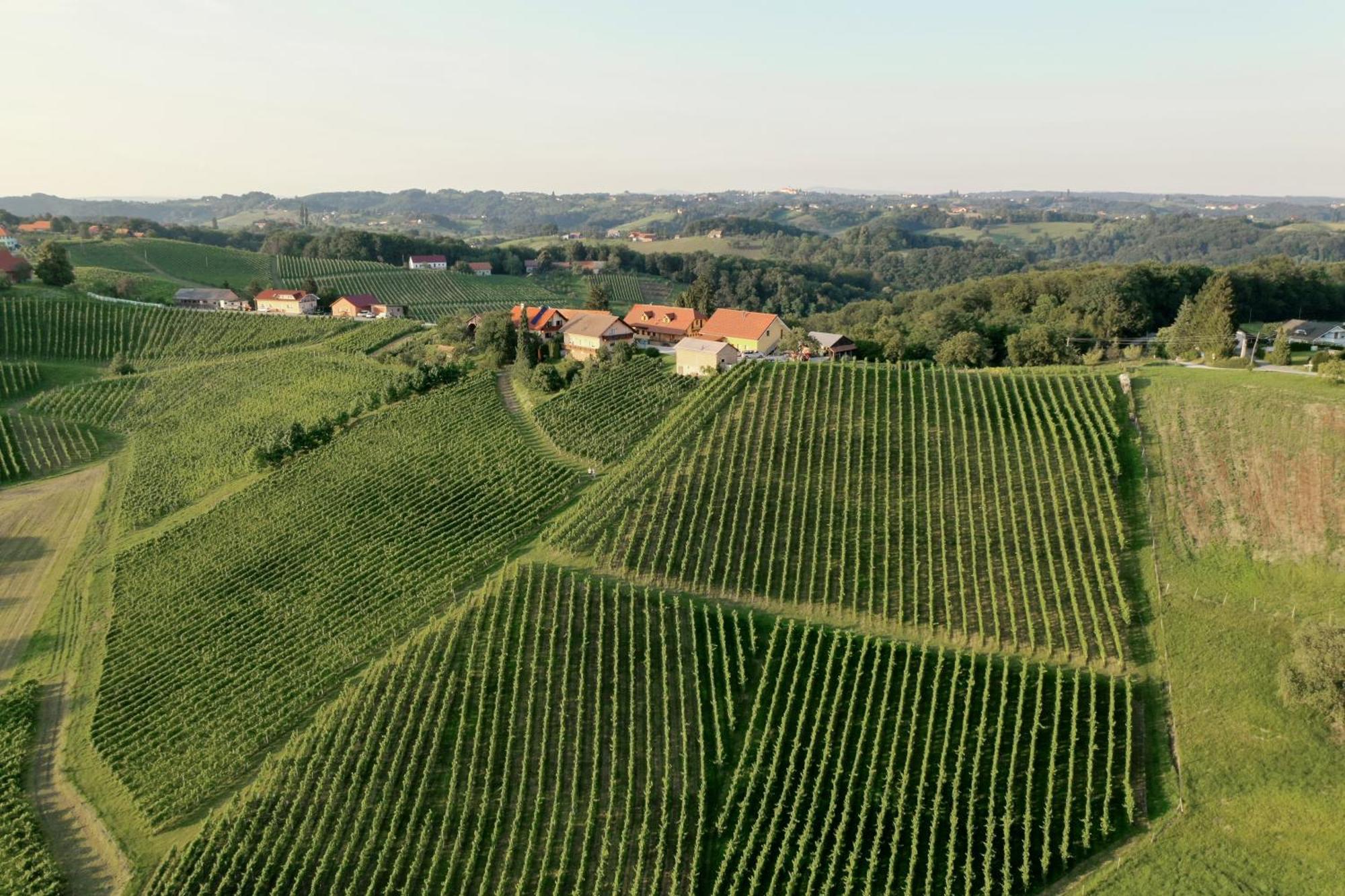 Wine & Tourism Bracko Bed & Breakfast Spodnji Jakobski Dol Luaran gambar