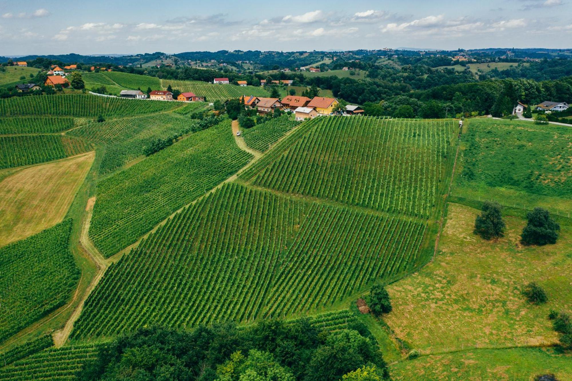 Wine & Tourism Bracko Bed & Breakfast Spodnji Jakobski Dol Luaran gambar