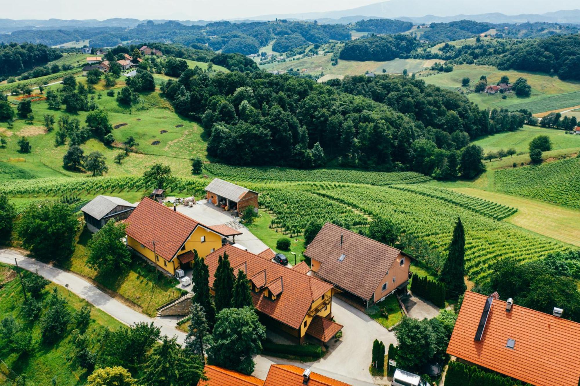Wine & Tourism Bracko Bed & Breakfast Spodnji Jakobski Dol Luaran gambar